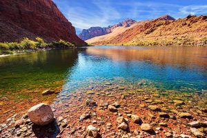 Pebbles are visible through shallow water of the Colorado River as it flows between the low cliffs of Lees Ferry